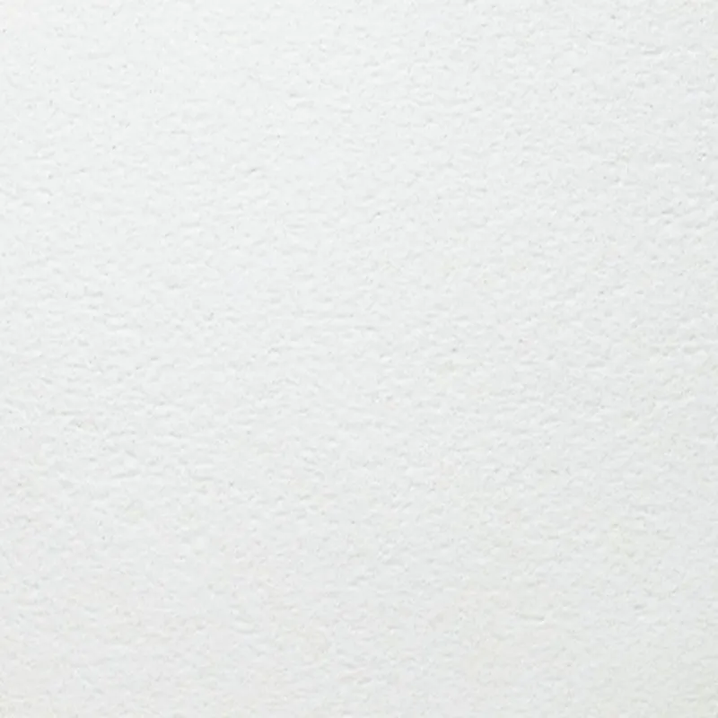 ARMSTRONG BIOGUARD Plain Биогуард Плейн